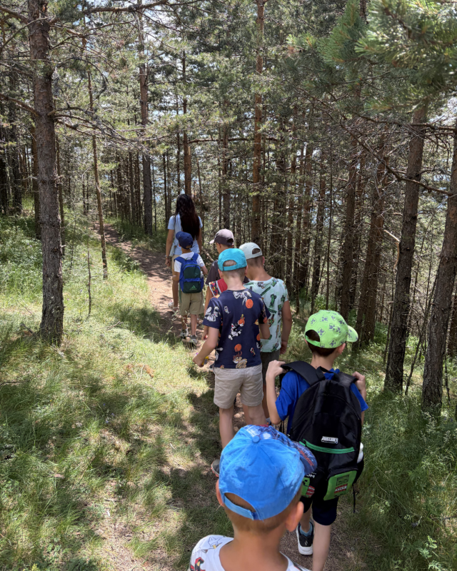 DIC kamp zlatibor